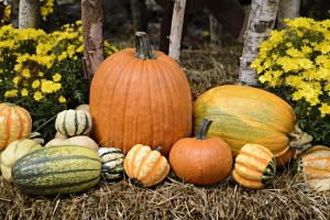 fall decorations