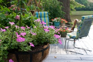 flowers on deck