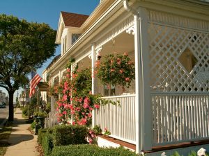 Trellis as a backyard features for privacy and shade