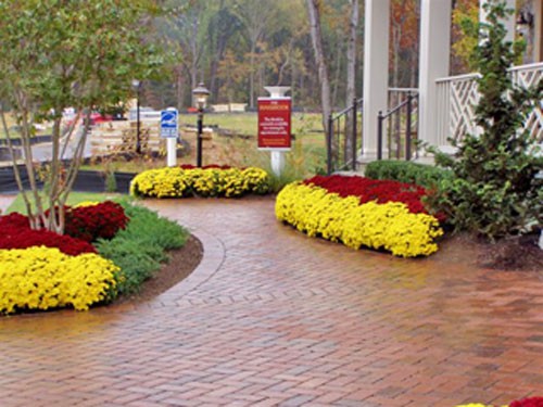 patio made with bricks