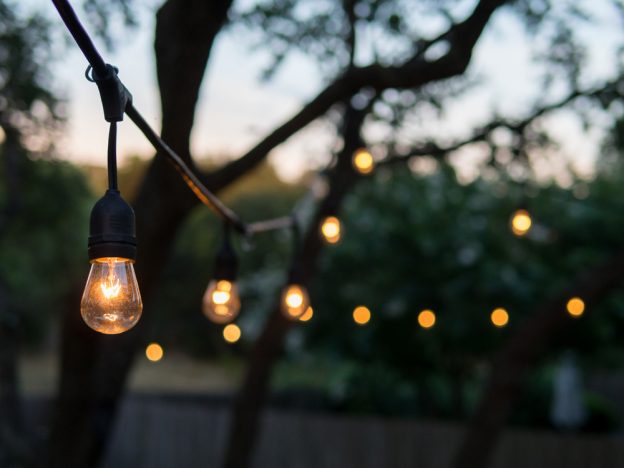 Twinkly string lights hung across a tree