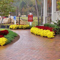 Landscaping Design